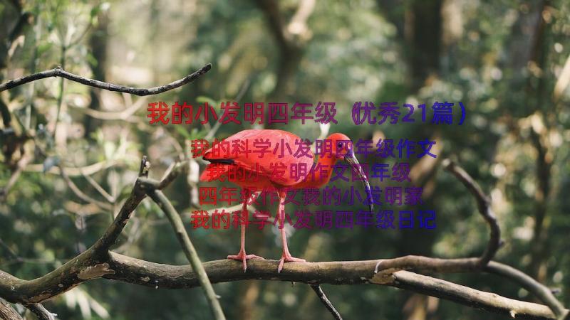 我的小发明四年级（优秀21篇）