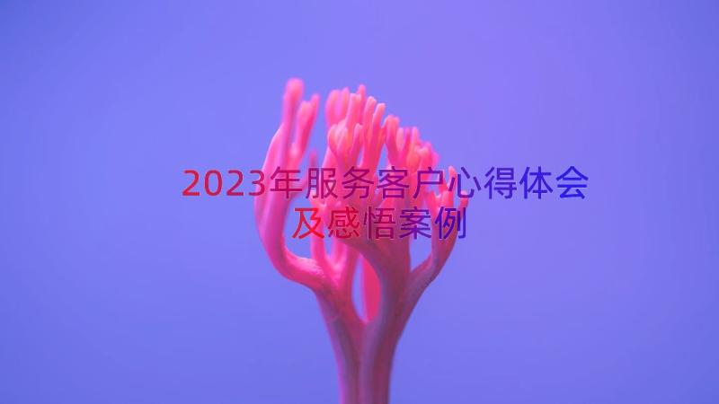 2023年服务客户心得体会及感悟（案例13篇）