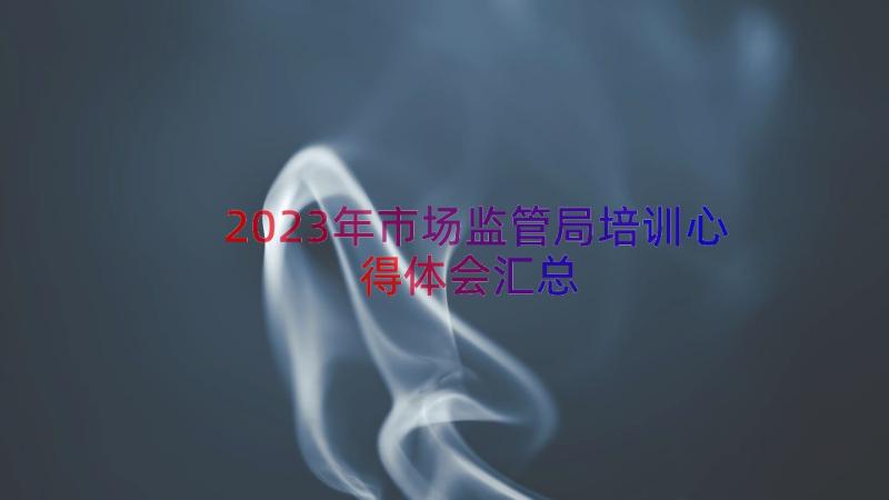 2023年市场监管局培训心得体会（汇总14篇）