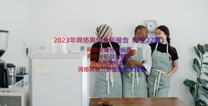 2023年网络舆情分析报告（专业22篇）