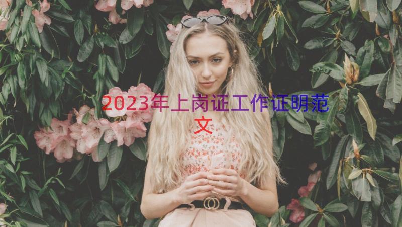 2023年上岗证工作证明范文（15篇）