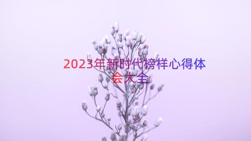 2023年新时代榜样心得体会大全（13篇）