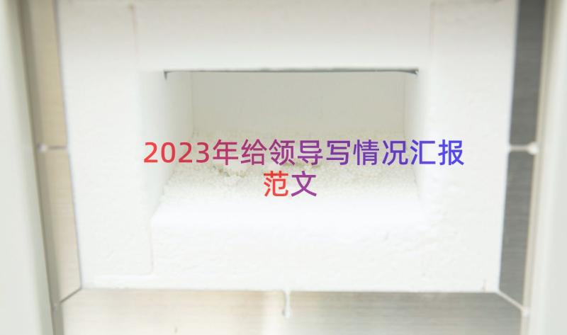 2023年给领导写情况汇报范文（20篇）