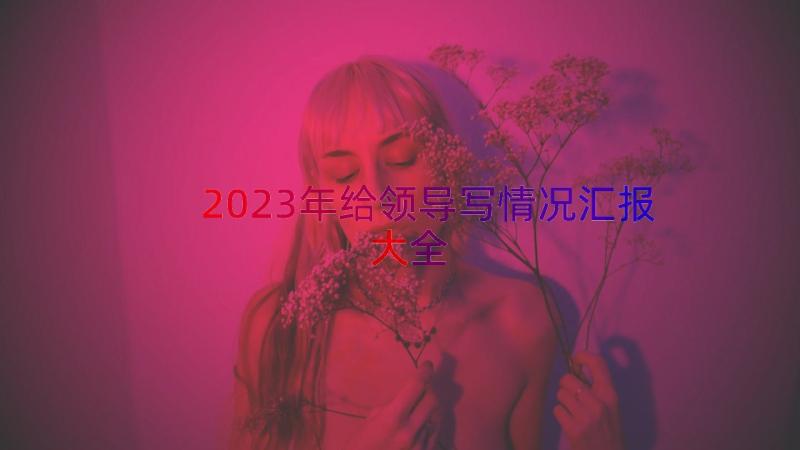 2023年给领导写情况汇报大全（14篇）