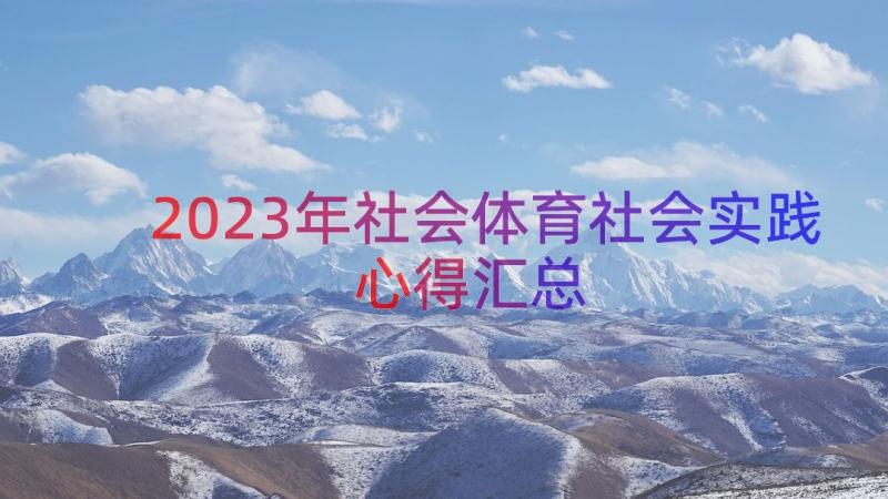 2023年社会体育社会实践心得（汇总15篇）