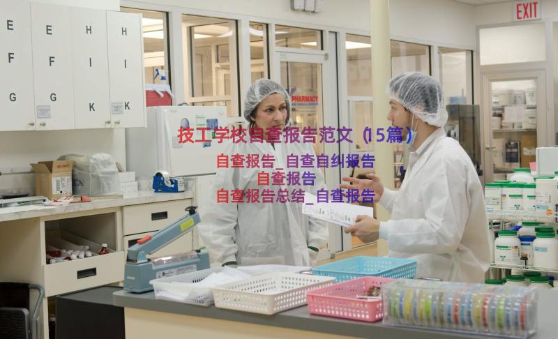 技工学校自查报告范文（15篇）