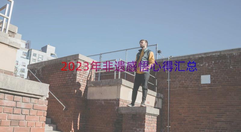 2023年非遗感悟心得（汇总17篇）