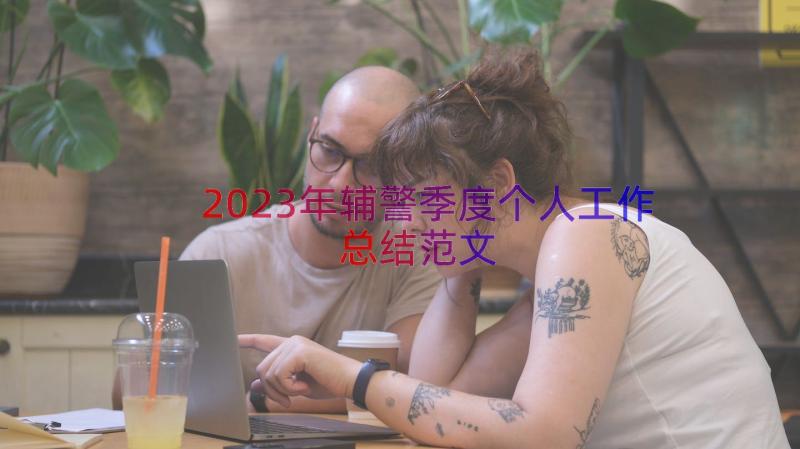 2023年辅警季度个人工作总结范文（16篇）