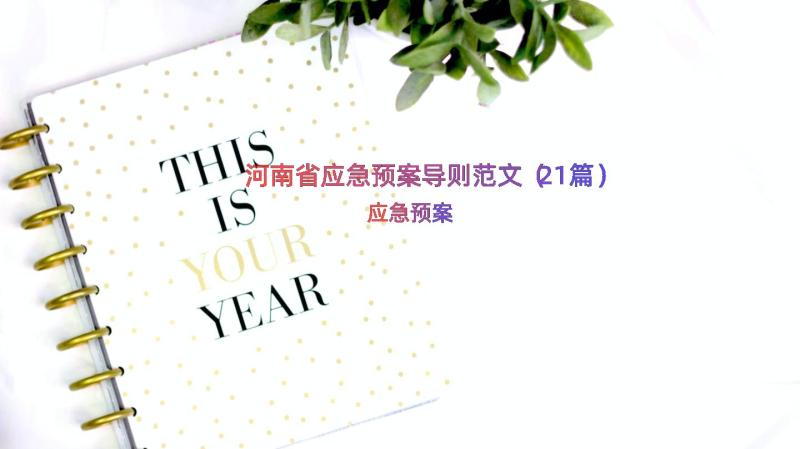 河南省应急预案导则范文（21篇）