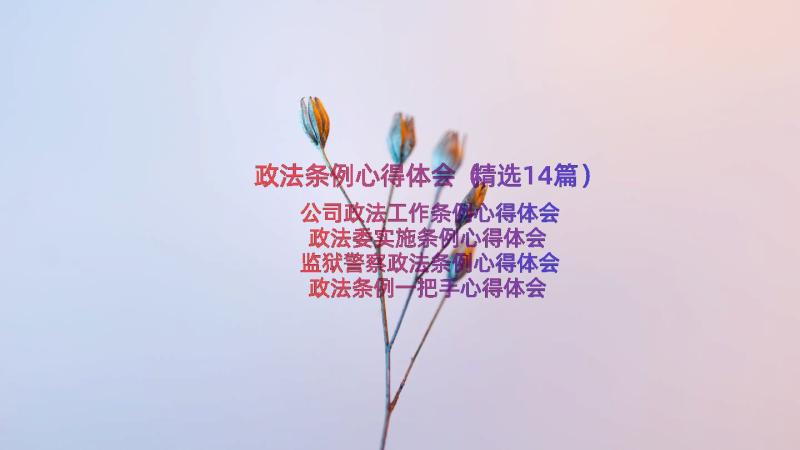 政法条例心得体会（精选14篇）