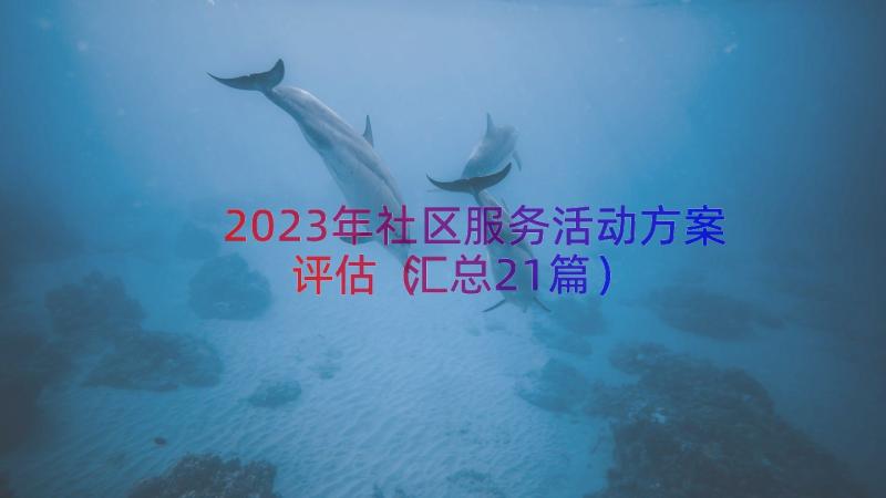 2023年社区服务活动方案评估（汇总21篇）