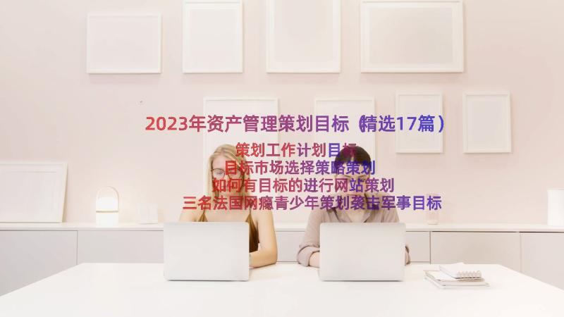 2023年资产管理策划目标（精选17篇）