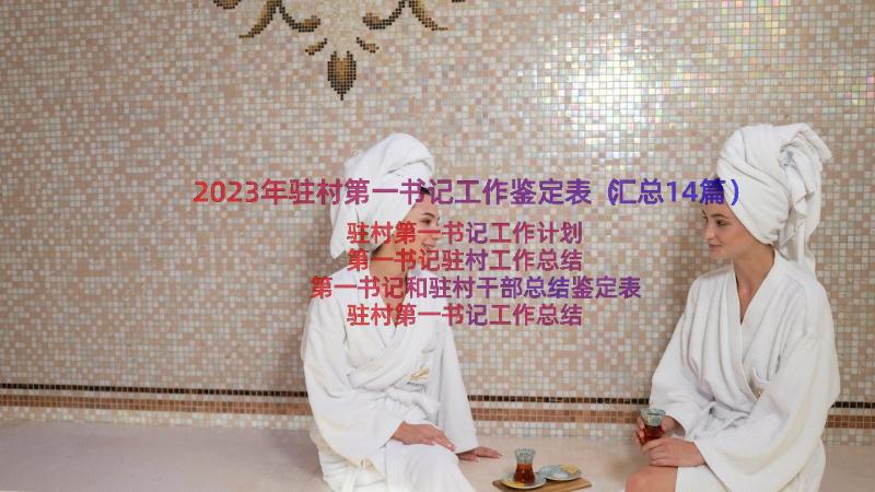 2023年驻村第一书记工作鉴定表（汇总14篇）