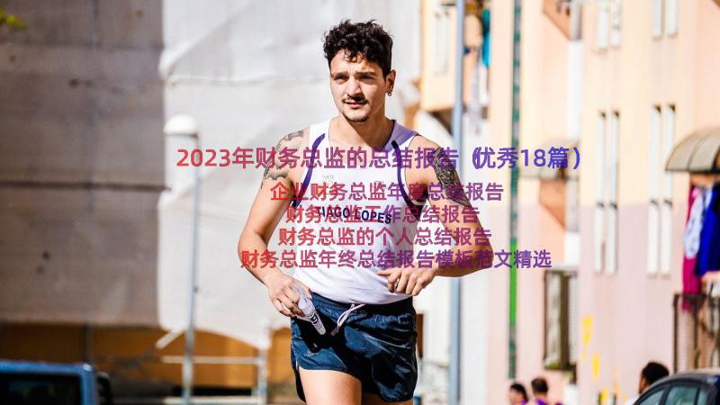 2023年财务总监的总结报告（优秀18篇）