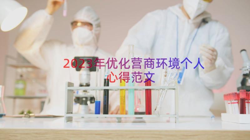 2023年优化营商环境个人心得范文（19篇）