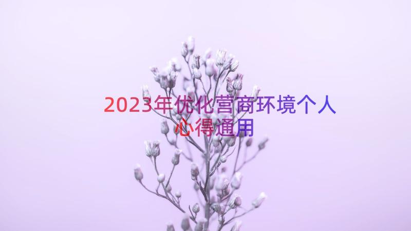 2023年优化营商环境个人心得（通用14篇）