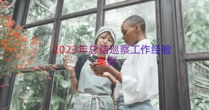 2023年总结巡察工作经验（案例15篇）