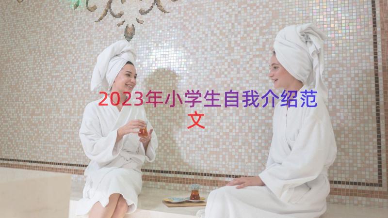 2023年小学生自我介绍范文（22篇）