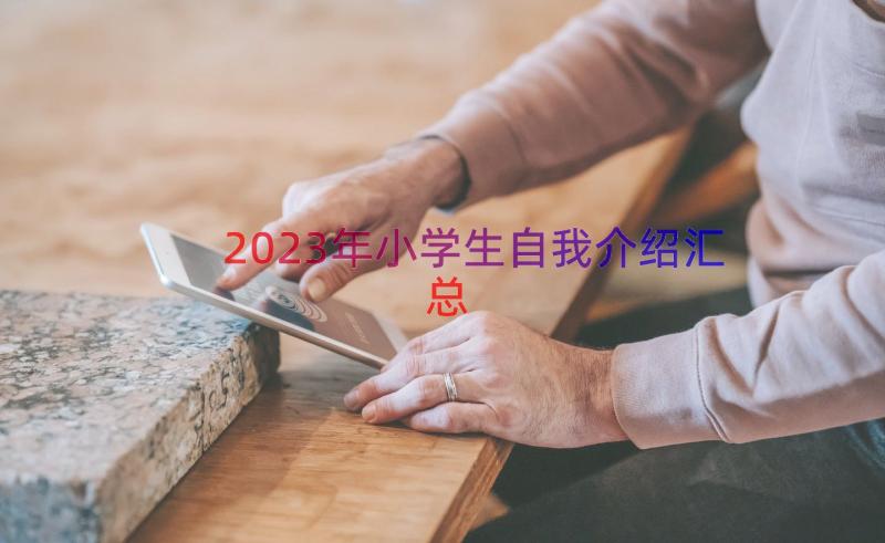 2023年小学生自我介绍（汇总16篇）