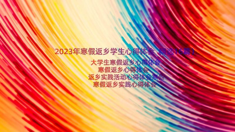 2023年寒假返乡学生心得体会（精选16篇）