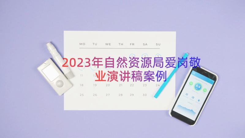 2023年自然资源局爱岗敬业演讲稿案例