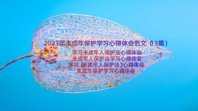 2023年未成年保护学习心得体会范文（13篇）