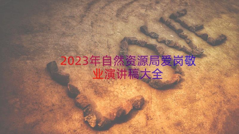 2023年自然资源局爱岗敬业演讲稿大全（16篇）