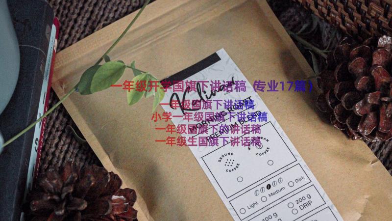 一年级开学国旗下讲话稿（专业17篇）