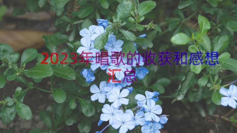 2023年唱歌的收获和感想（汇总17篇）