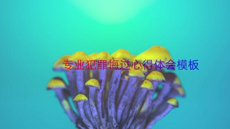 专业犯罪悔过心得体会（模板19篇）