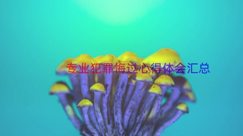 专业犯罪悔过心得体会（汇总13篇）