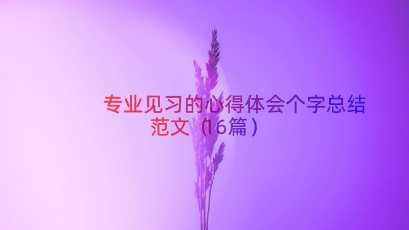 专业见习的心得体会个字总结范文（16篇）