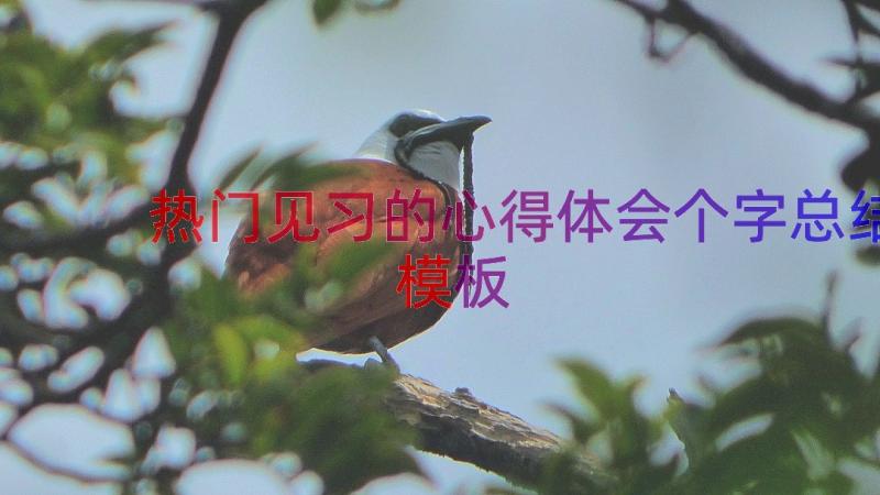 热门见习的心得体会个字总结（模板14篇）