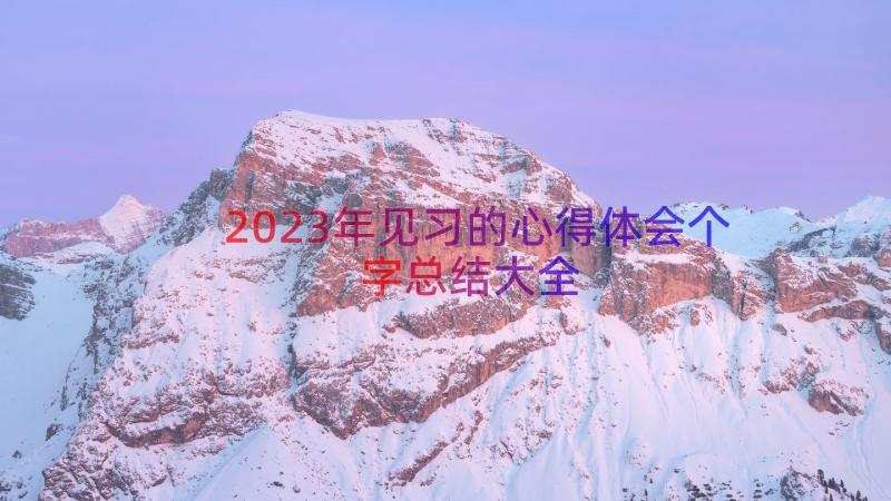 2023年见习的心得体会个字总结大全（18篇）