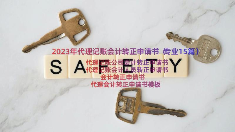 2023年代理记账会计转正申请书（专业15篇）