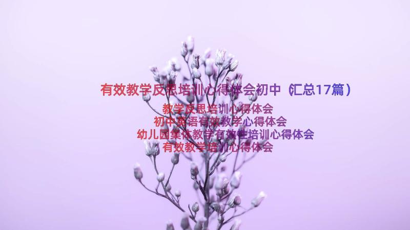 有效教学反思培训心得体会初中（汇总17篇）