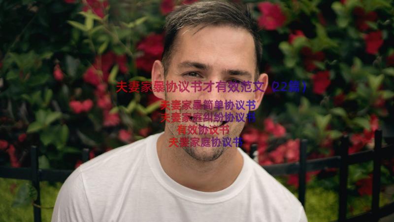 夫妻家暴协议书才有效范文（22篇）