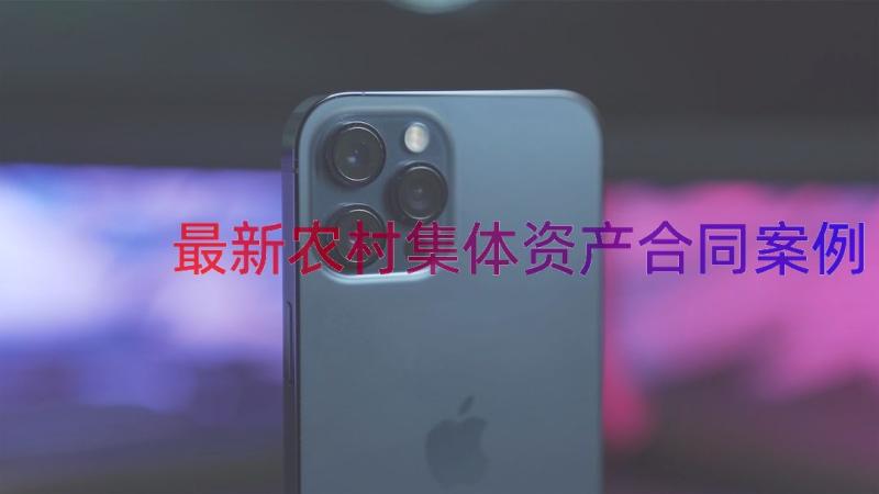 最新农村集体资产合同（案例15篇）