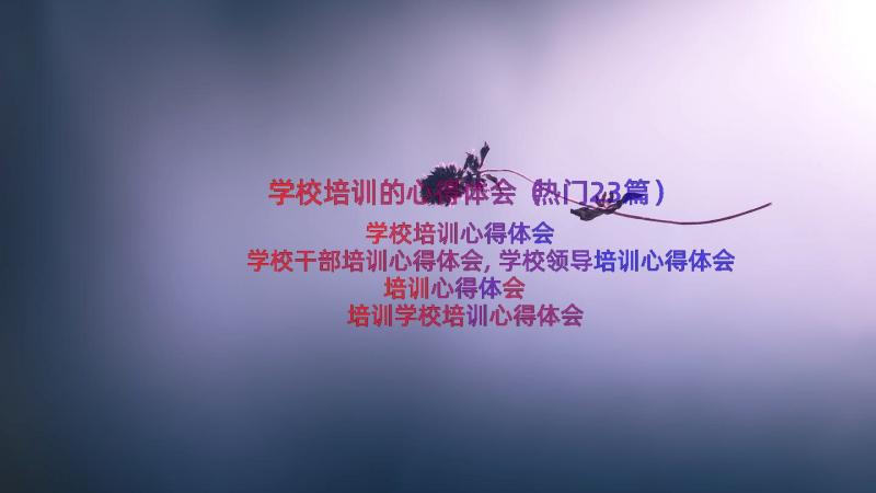 学校培训的心得体会（热门23篇）