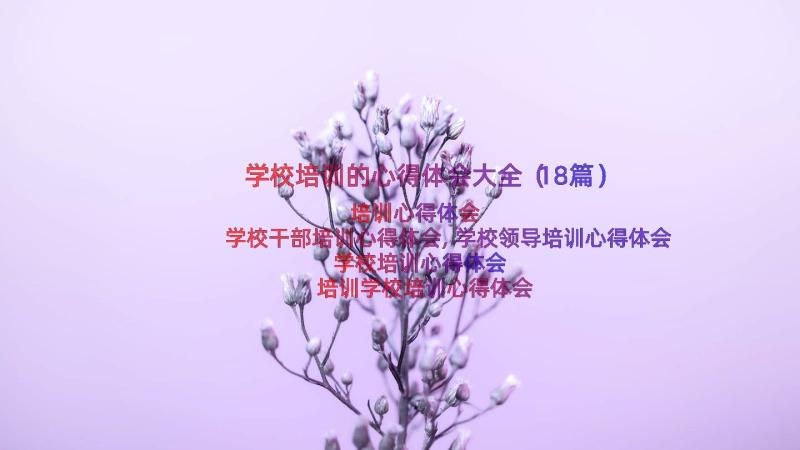 学校培训的心得体会大全（18篇）