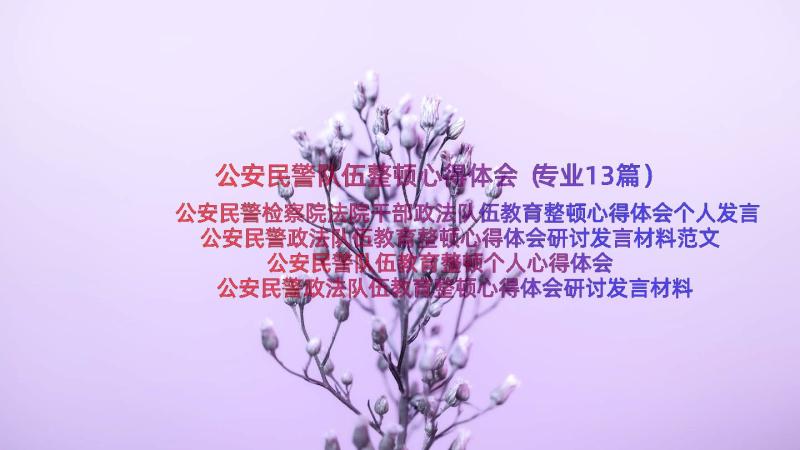 公安民警队伍整顿心得体会（专业13篇）