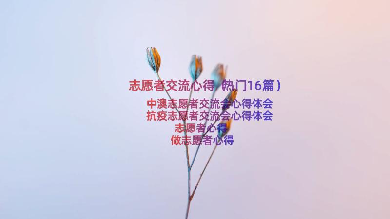 志愿者交流心得（热门16篇）