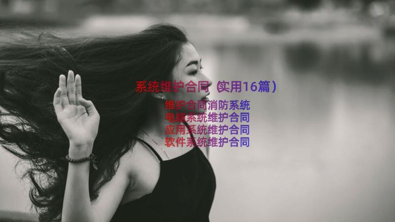 系统维护合同（实用16篇）