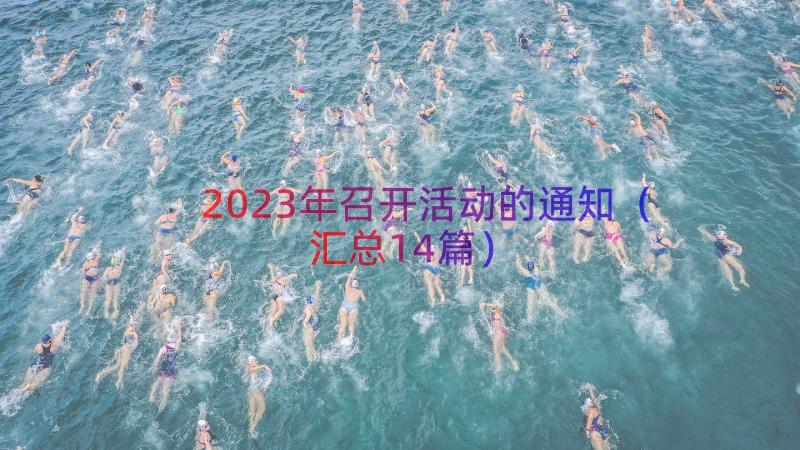 2023年召开活动的通知（汇总14篇）