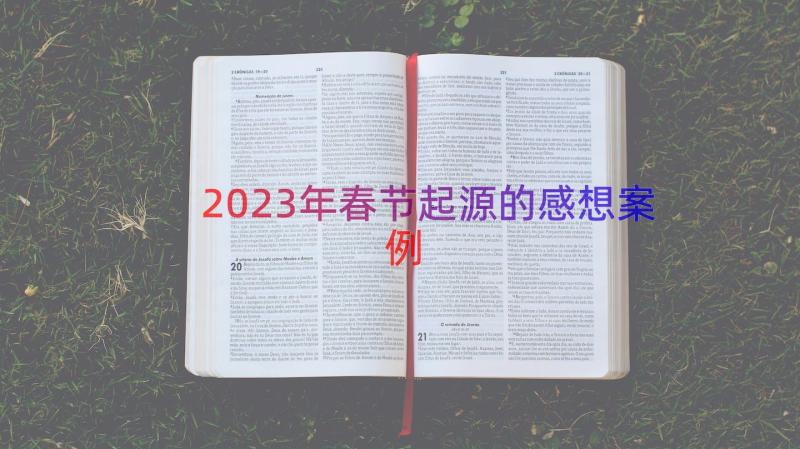 2023年春节起源的感想（案例15篇）
