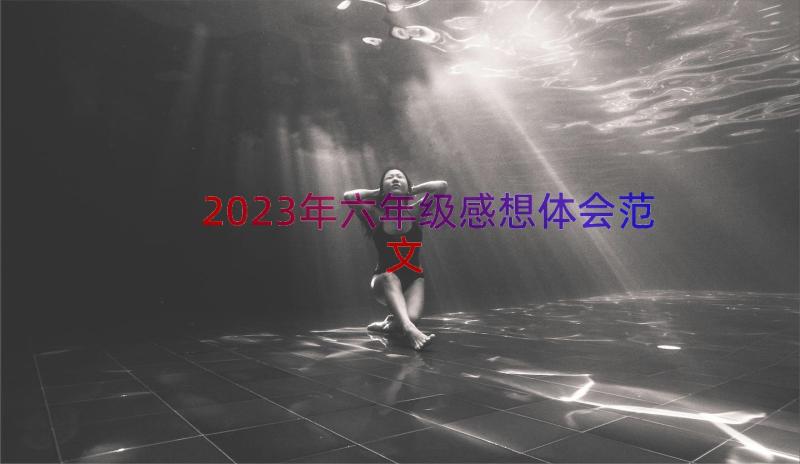 2023年六年级感想体会范文（17篇）