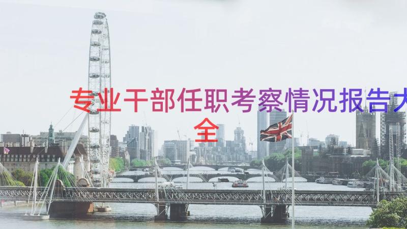 专业干部任职考察情况报告大全（16篇）