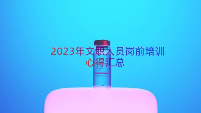 2023年文职人员岗前培训心得（汇总13篇）