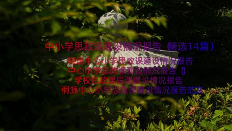 中小学思政课建设情况报告（精选14篇）