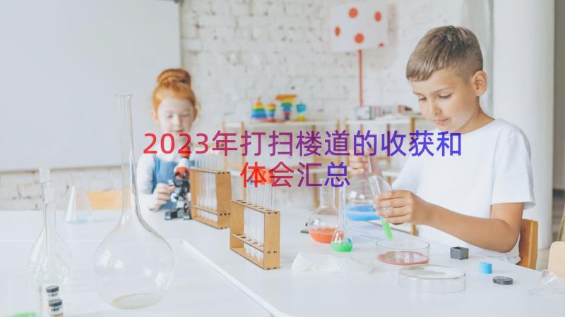 2023年打扫楼道的收获和体会（汇总20篇）